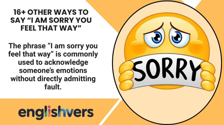 16+ Other Ways to Say “I Am Sorry You Feel That Way”