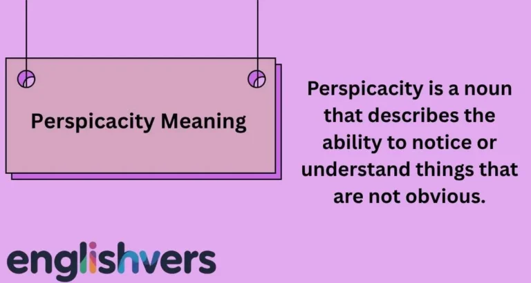 Perspicacity Meaning