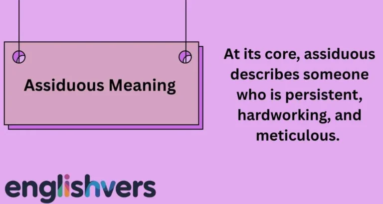 Assiduous Meaning