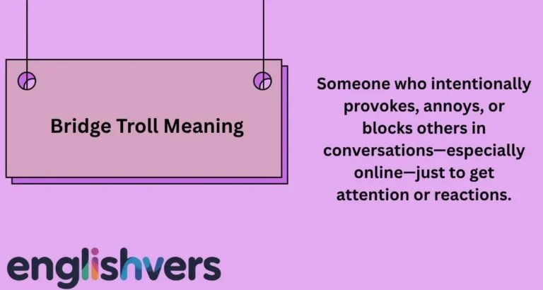 Bridge Troll Meaning