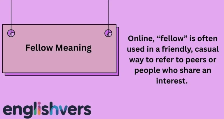 Fellow Meaning