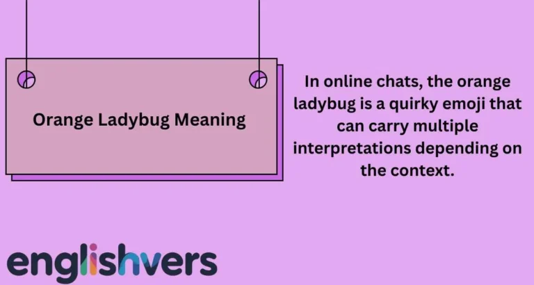 Orange Ladybug Meaning