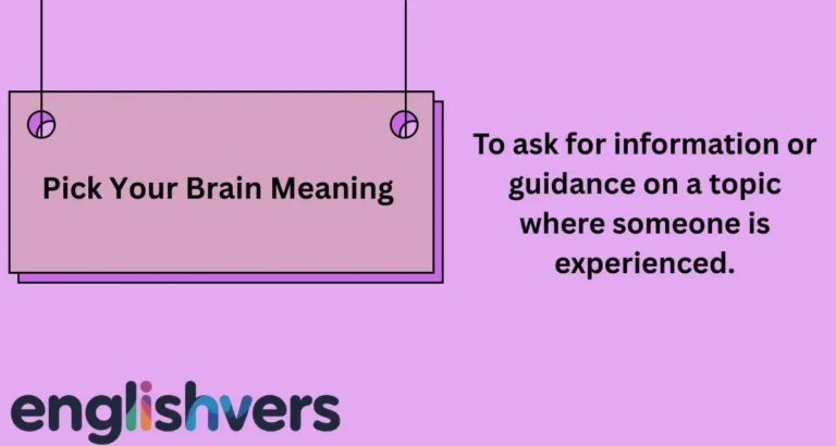 Pick Your Brain Meaning