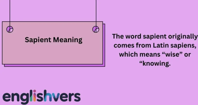 Sapient Meaning